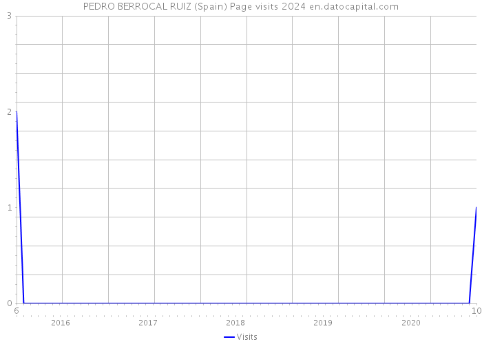 PEDRO BERROCAL RUIZ (Spain) Page visits 2024 