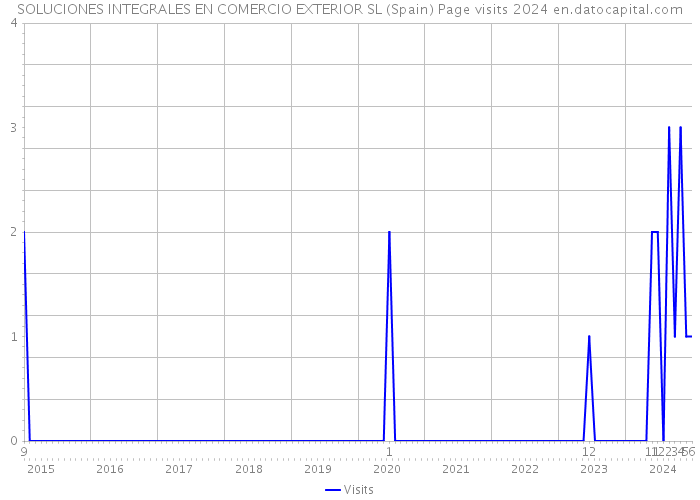 SOLUCIONES INTEGRALES EN COMERCIO EXTERIOR SL (Spain) Page visits 2024 