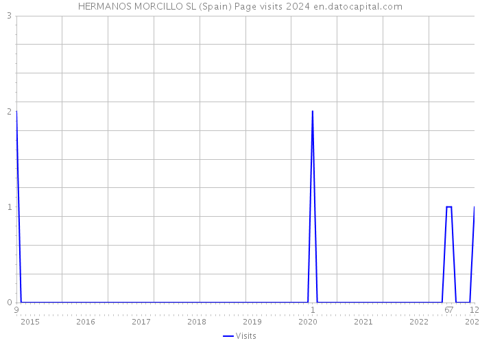 HERMANOS MORCILLO SL (Spain) Page visits 2024 