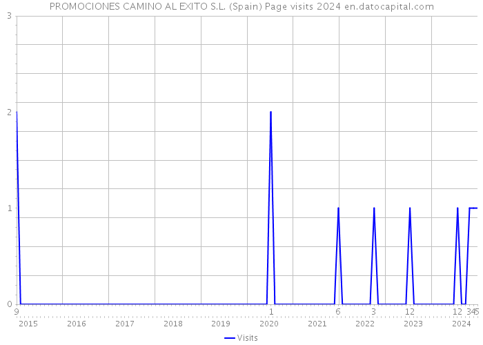 PROMOCIONES CAMINO AL EXITO S.L. (Spain) Page visits 2024 