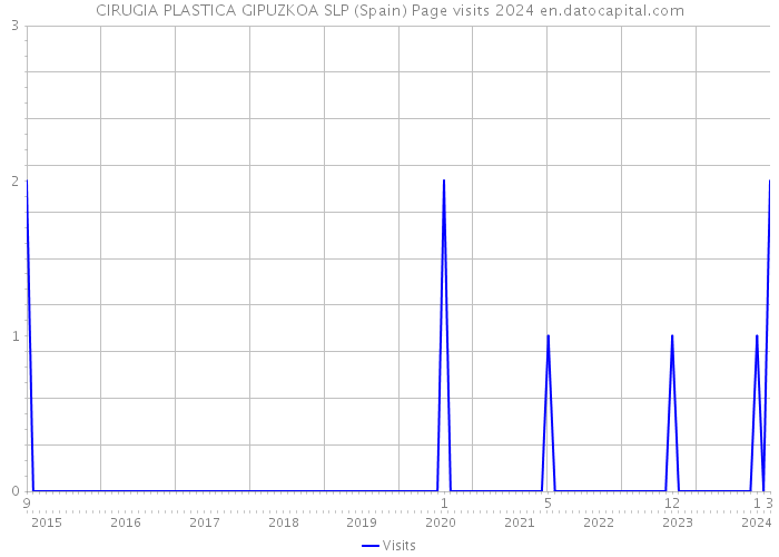 CIRUGIA PLASTICA GIPUZKOA SLP (Spain) Page visits 2024 