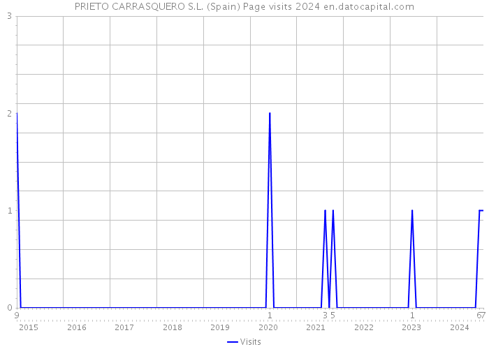PRIETO CARRASQUERO S.L. (Spain) Page visits 2024 