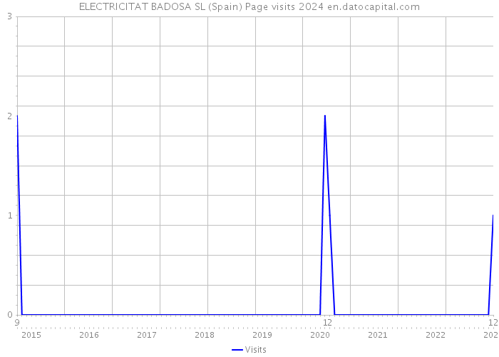 ELECTRICITAT BADOSA SL (Spain) Page visits 2024 