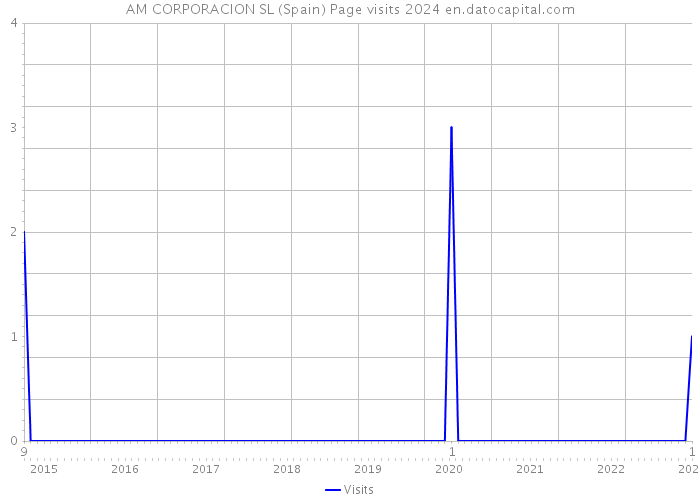 AM CORPORACION SL (Spain) Page visits 2024 
