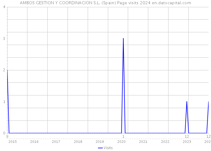 AMBOS GESTION Y COORDINACION S.L. (Spain) Page visits 2024 