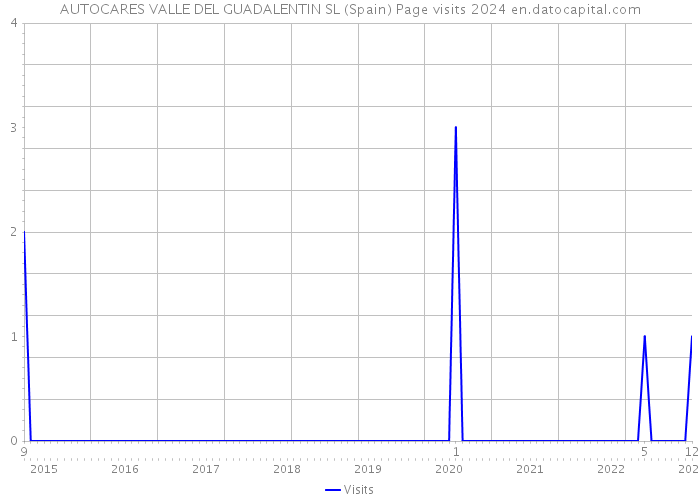 AUTOCARES VALLE DEL GUADALENTIN SL (Spain) Page visits 2024 