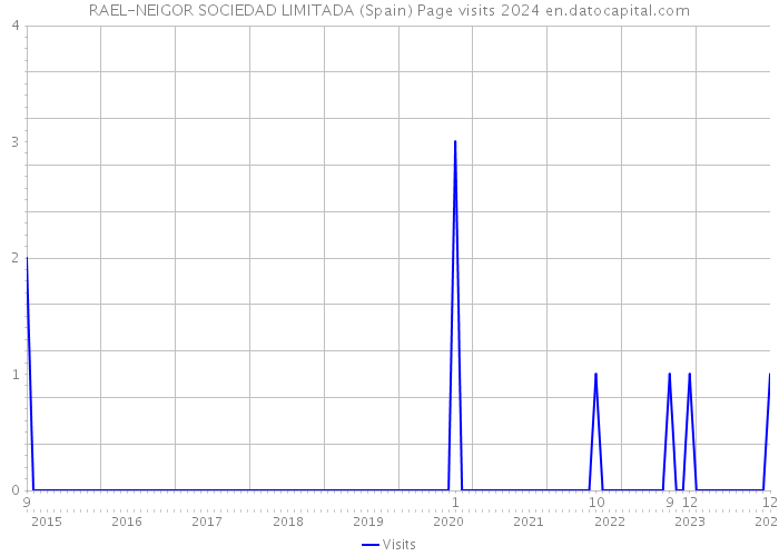 RAEL-NEIGOR SOCIEDAD LIMITADA (Spain) Page visits 2024 