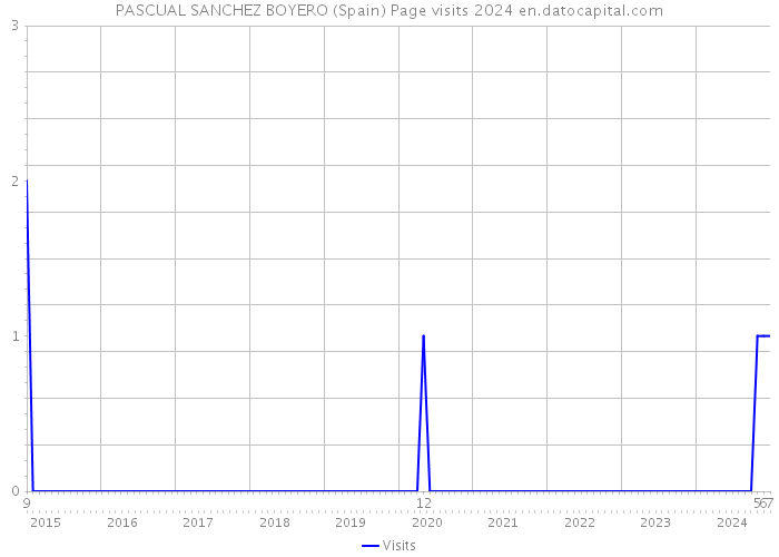 PASCUAL SANCHEZ BOYERO (Spain) Page visits 2024 