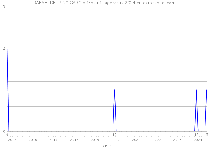 RAFAEL DEL PINO GARCIA (Spain) Page visits 2024 