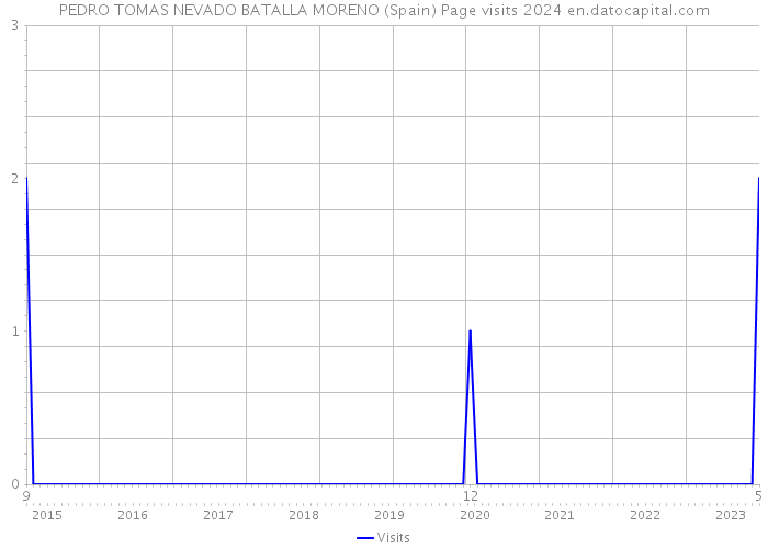 PEDRO TOMAS NEVADO BATALLA MORENO (Spain) Page visits 2024 