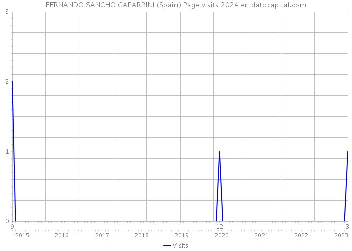 FERNANDO SANCHO CAPARRINI (Spain) Page visits 2024 