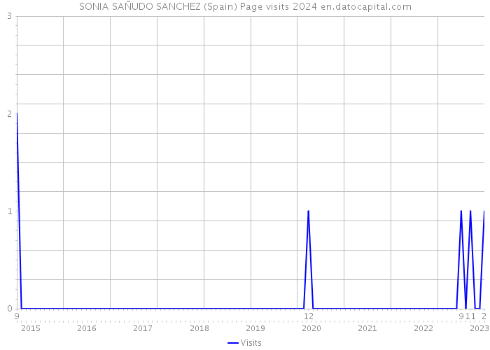 SONIA SAÑUDO SANCHEZ (Spain) Page visits 2024 