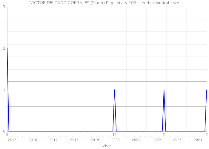 VICTOR DELGADO CORRALES (Spain) Page visits 2024 