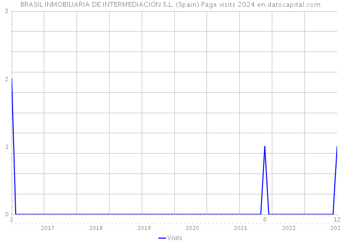 BRASIL INMOBILIARIA DE INTERMEDIACION S.L. (Spain) Page visits 2024 