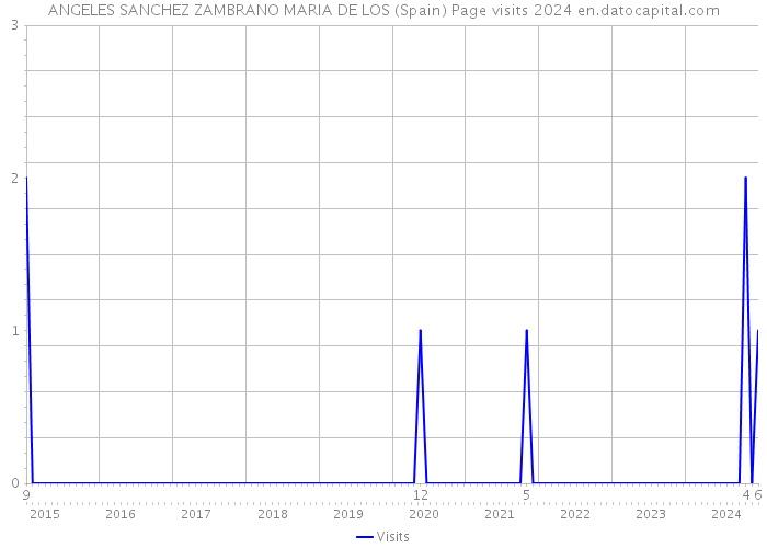 ANGELES SANCHEZ ZAMBRANO MARIA DE LOS (Spain) Page visits 2024 