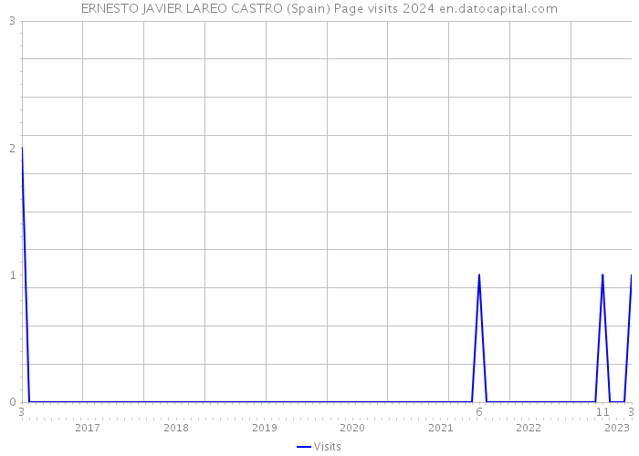 ERNESTO JAVIER LAREO CASTRO (Spain) Page visits 2024 