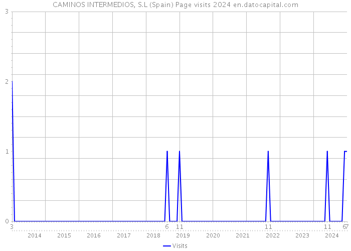 CAMINOS INTERMEDIOS, S.L (Spain) Page visits 2024 