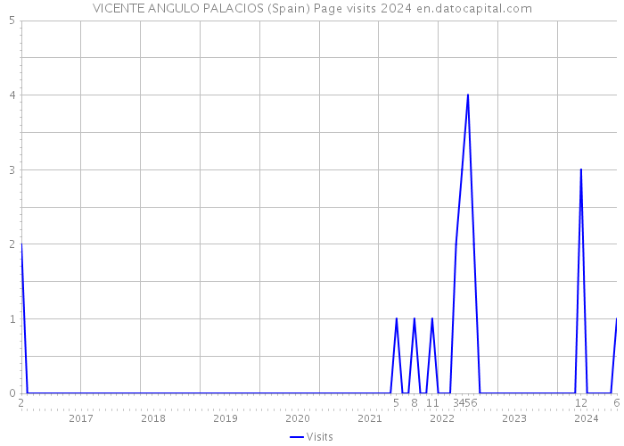 VICENTE ANGULO PALACIOS (Spain) Page visits 2024 