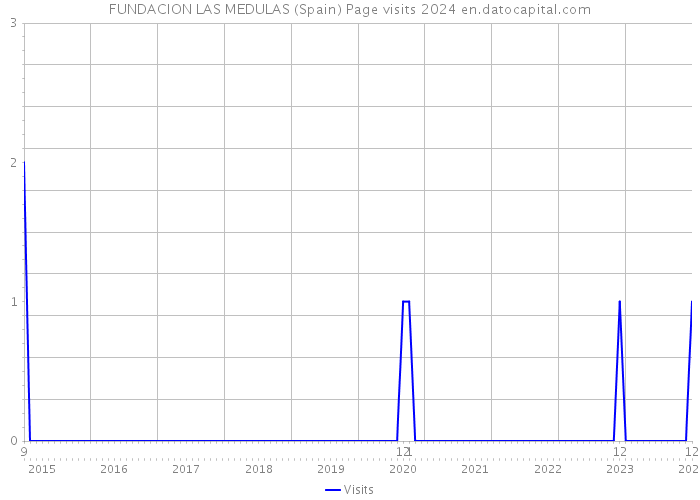 FUNDACION LAS MEDULAS (Spain) Page visits 2024 