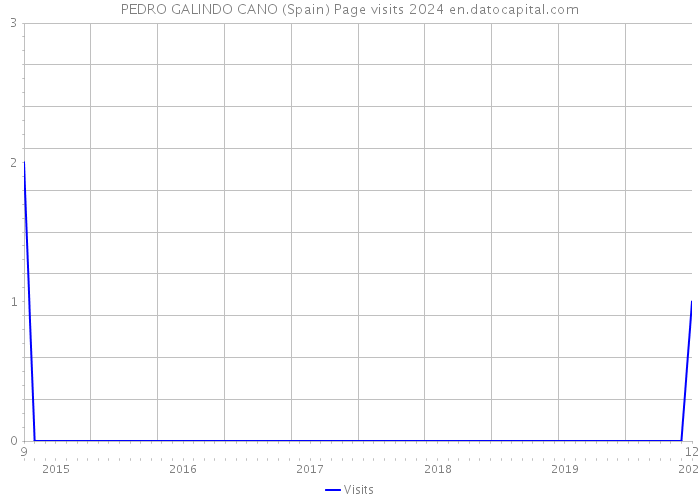 PEDRO GALINDO CANO (Spain) Page visits 2024 