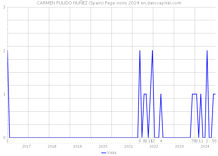 CARMEN PULIDO NUÑEZ (Spain) Page visits 2024 