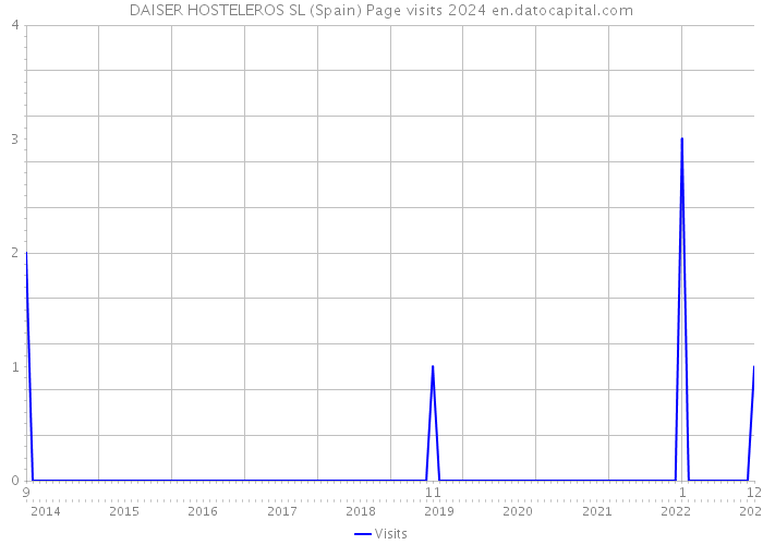 DAISER HOSTELEROS SL (Spain) Page visits 2024 