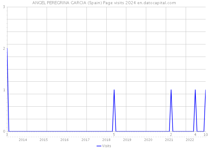 ANGEL PEREGRINA GARCIA (Spain) Page visits 2024 