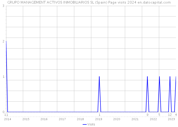 GRUPO MANAGEMENT ACTIVOS INMOBILIARIOS SL (Spain) Page visits 2024 