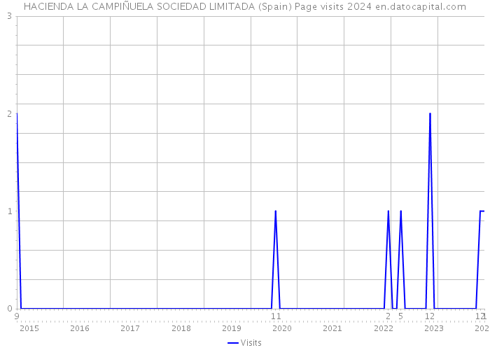 HACIENDA LA CAMPIÑUELA SOCIEDAD LIMITADA (Spain) Page visits 2024 