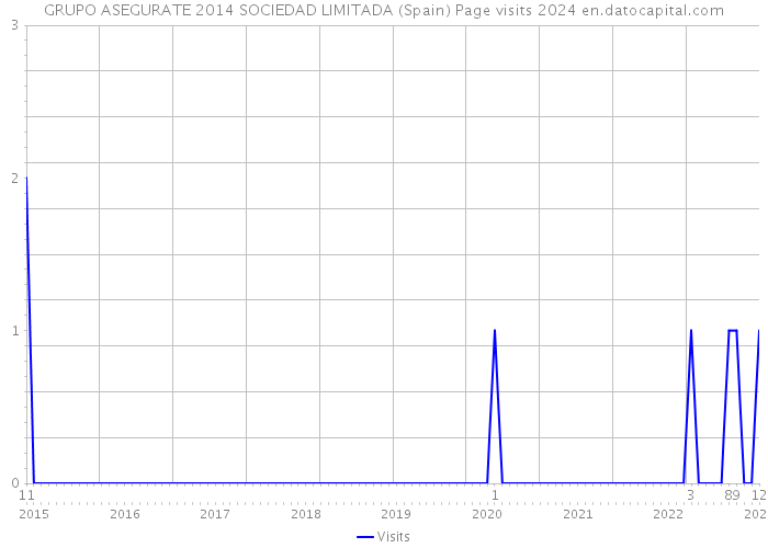 GRUPO ASEGURATE 2014 SOCIEDAD LIMITADA (Spain) Page visits 2024 