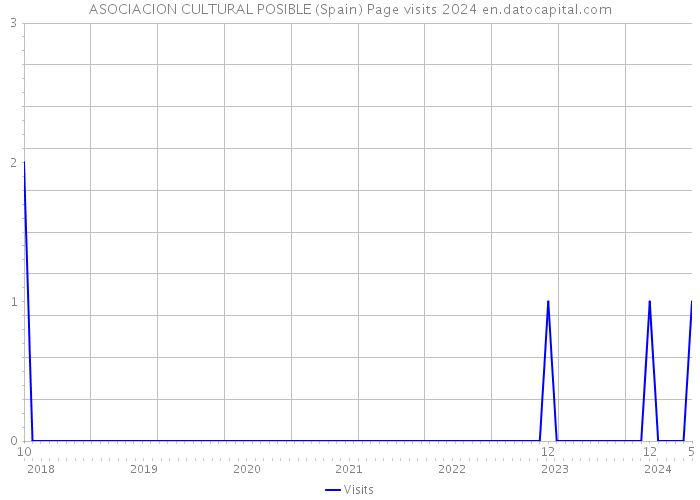 ASOCIACION CULTURAL POSIBLE (Spain) Page visits 2024 