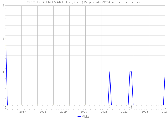 ROCIO TRIGUERO MARTINEZ (Spain) Page visits 2024 