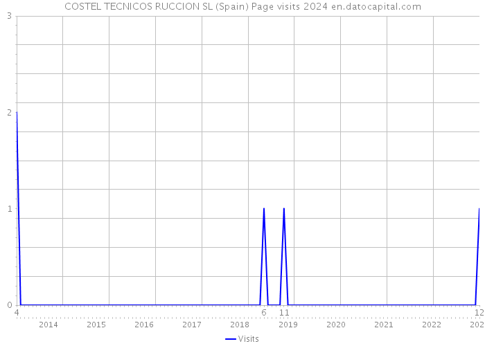 COSTEL TECNICOS RUCCION SL (Spain) Page visits 2024 