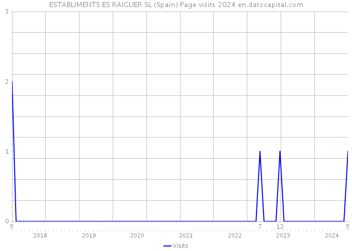 ESTABLIMENTS ES RAIGUER SL (Spain) Page visits 2024 