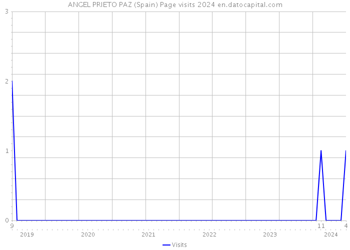 ANGEL PRIETO PAZ (Spain) Page visits 2024 