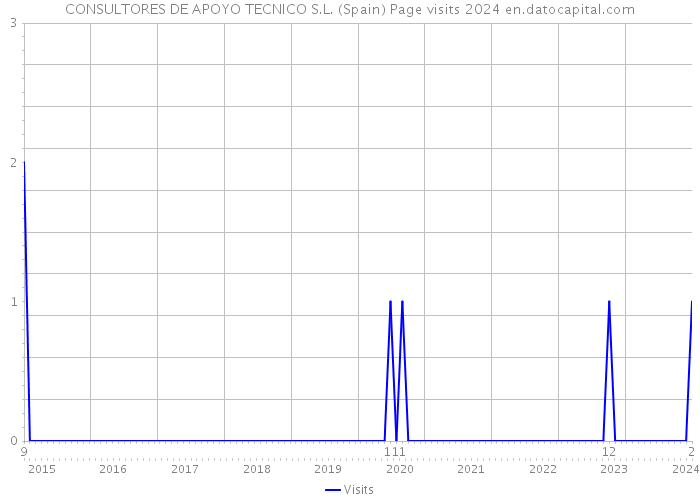 CONSULTORES DE APOYO TECNICO S.L. (Spain) Page visits 2024 