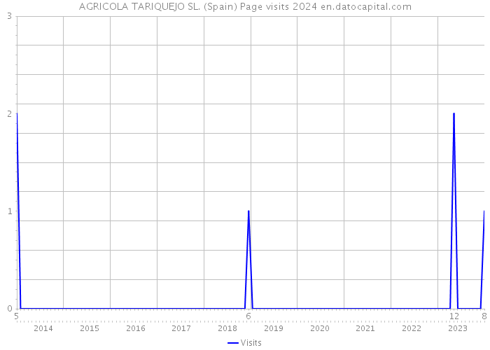 AGRICOLA TARIQUEJO SL. (Spain) Page visits 2024 