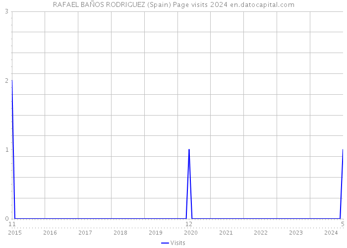 RAFAEL BAÑOS RODRIGUEZ (Spain) Page visits 2024 