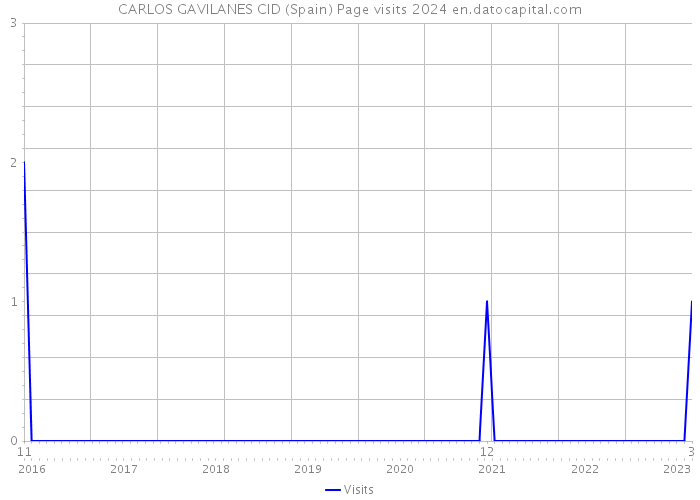 CARLOS GAVILANES CID (Spain) Page visits 2024 