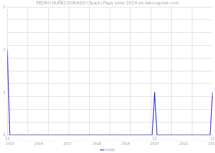 PEDRO NUÑEZ DORADO (Spain) Page visits 2024 