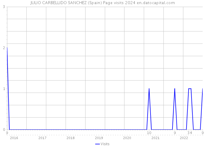 JULIO CARBELLIDO SANCHEZ (Spain) Page visits 2024 