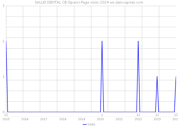 SALUD DENTAL CB (Spain) Page visits 2024 