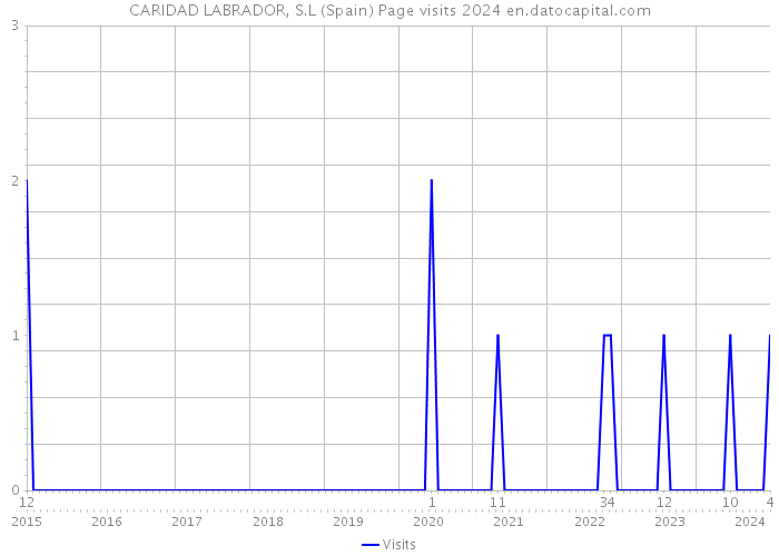 CARIDAD LABRADOR, S.L (Spain) Page visits 2024 