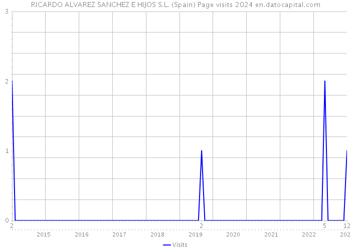 RICARDO ALVAREZ SANCHEZ E HIJOS S.L. (Spain) Page visits 2024 