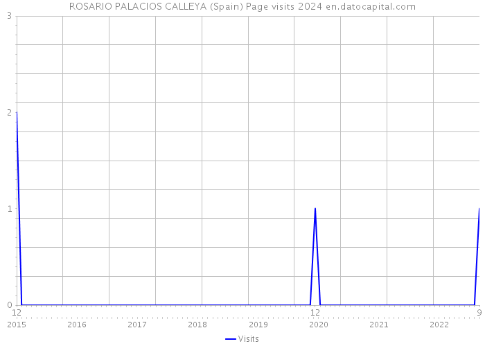 ROSARIO PALACIOS CALLEYA (Spain) Page visits 2024 