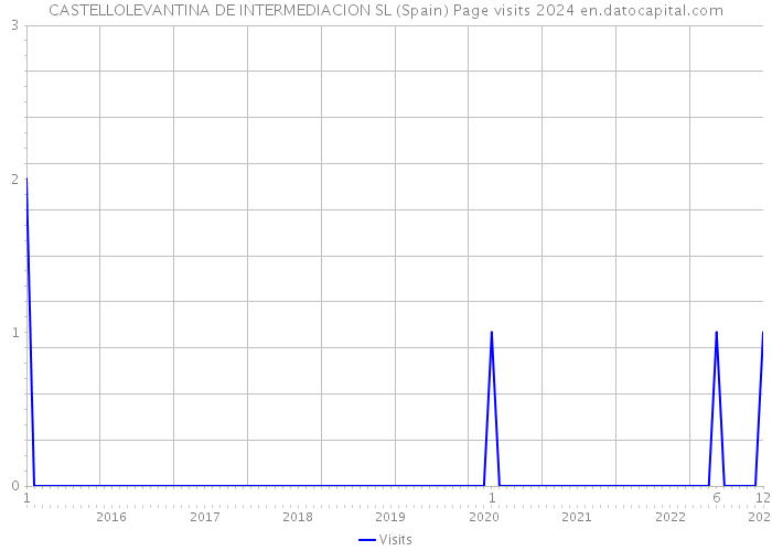 CASTELLOLEVANTINA DE INTERMEDIACION SL (Spain) Page visits 2024 
