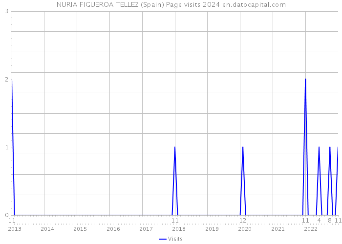 NURIA FIGUEROA TELLEZ (Spain) Page visits 2024 