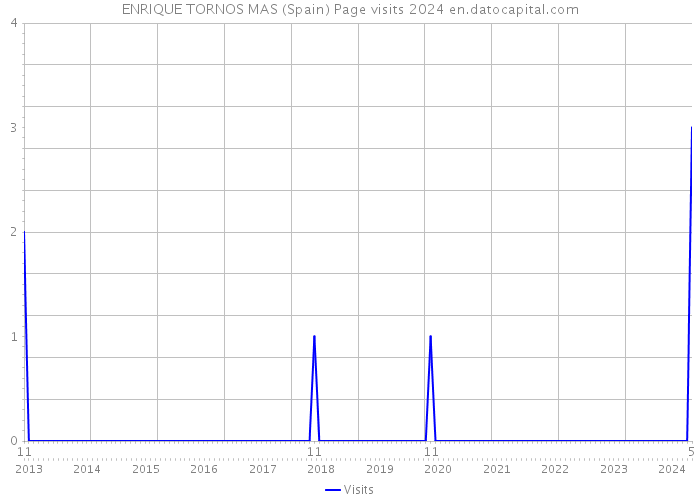 ENRIQUE TORNOS MAS (Spain) Page visits 2024 