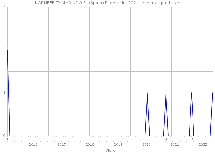 KORNEER TAMARINDO SL (Spain) Page visits 2024 