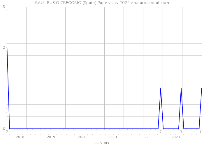 RAUL RUBIO GREGORIO (Spain) Page visits 2024 